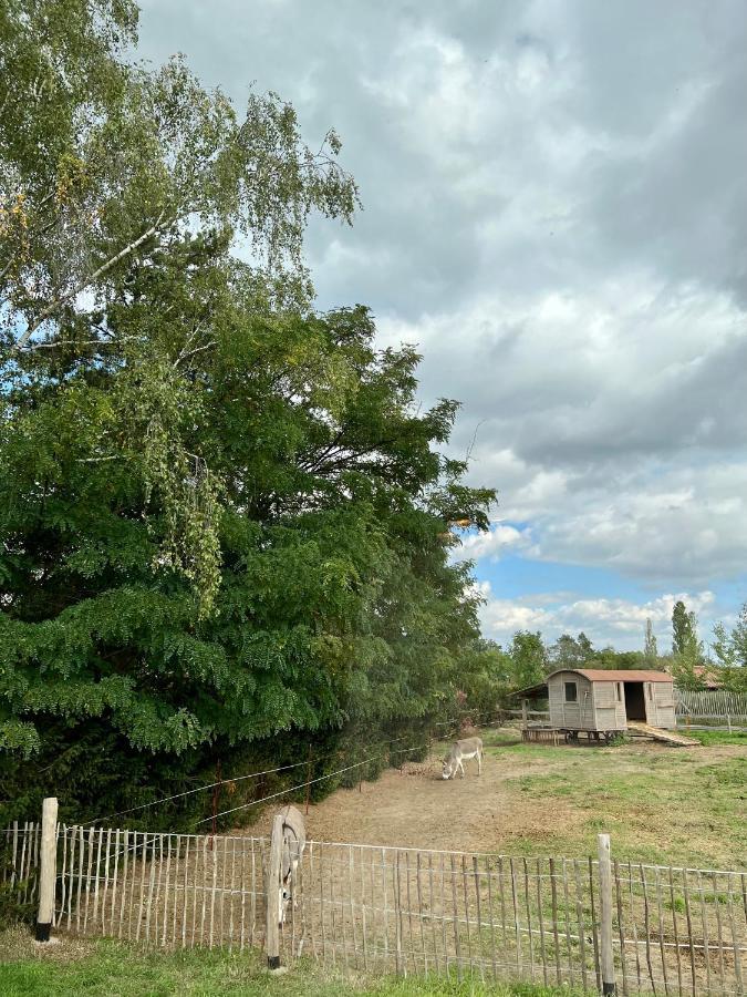 Lieblingsplatz Parey - Tiny House Lägenhet Exteriör bild